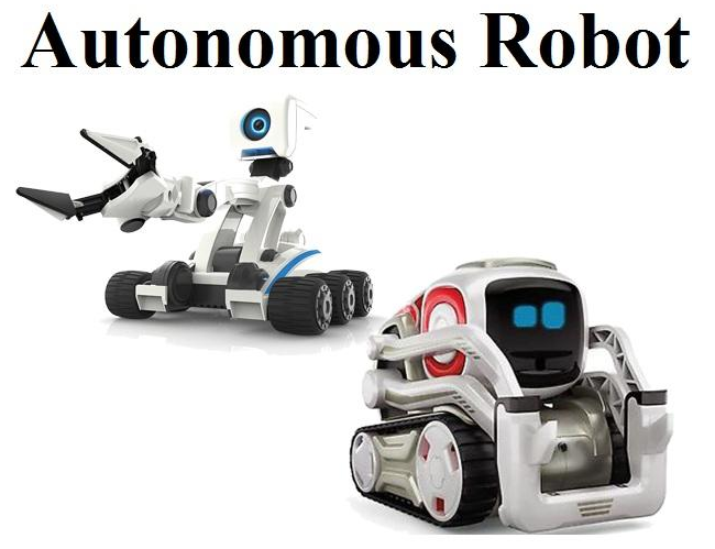 Autonomous Robot